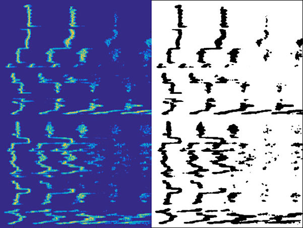 Oxford Synagogue: Spectrogram of the congregation singing.