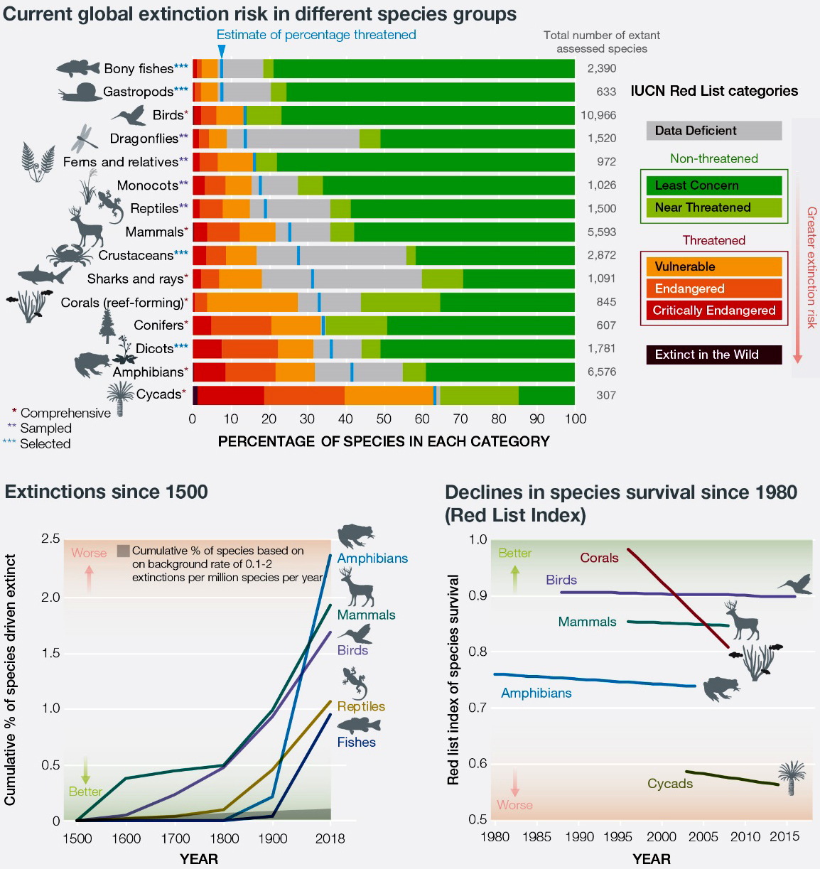 Global extincion rates in different species groups
