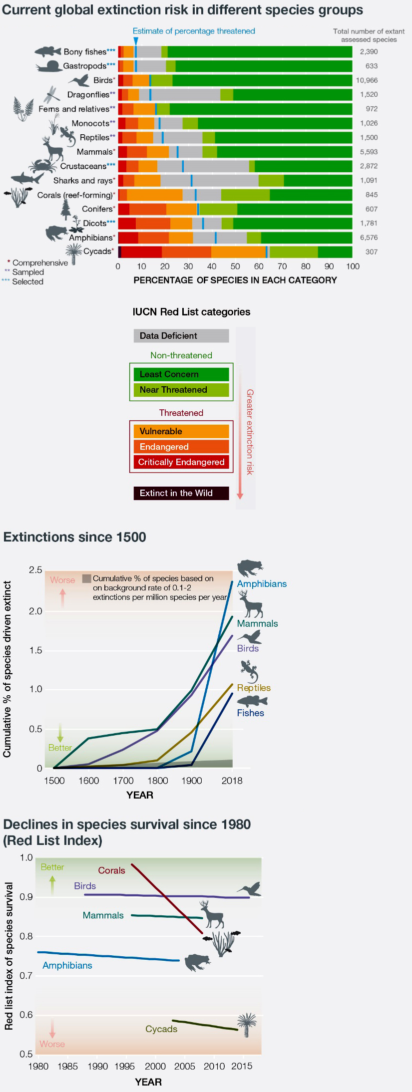 Global extincion rates in different species groups