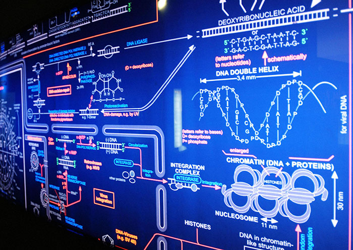Genetic algorithms, Miramon Kutxaespacio de la Ciencia Museum, San Sebastian, Spain