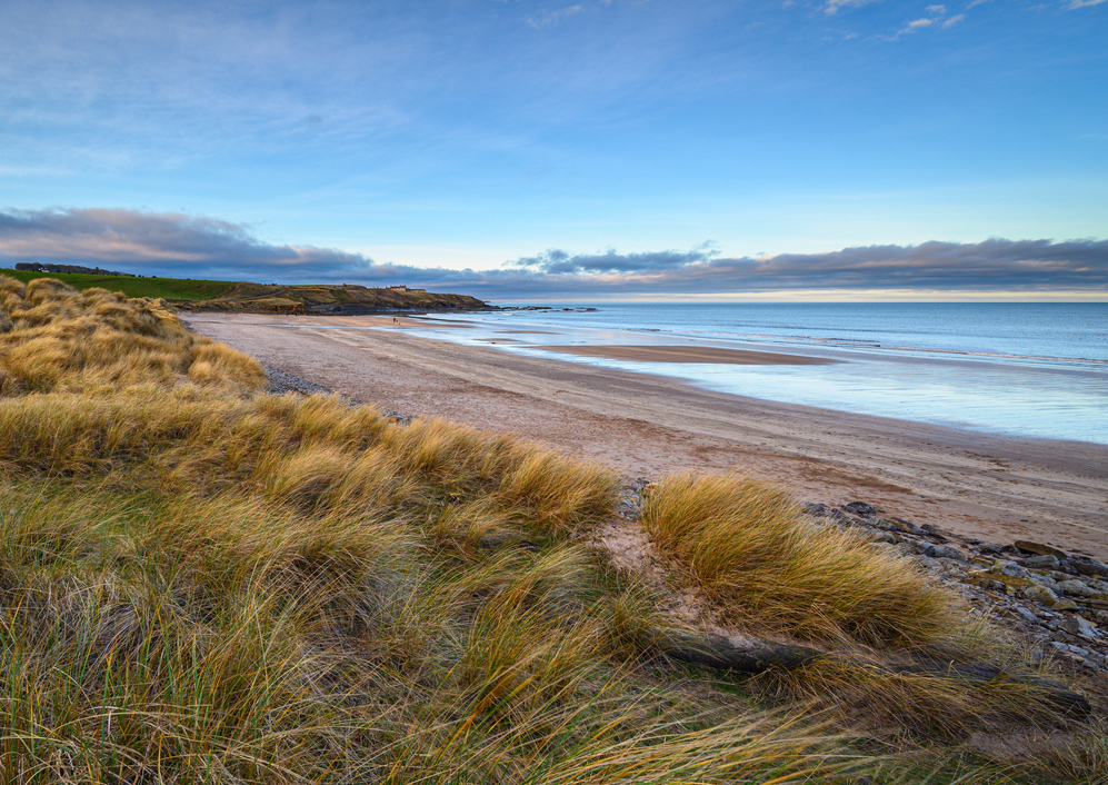 Cocklawburn Beach from the Dunes
