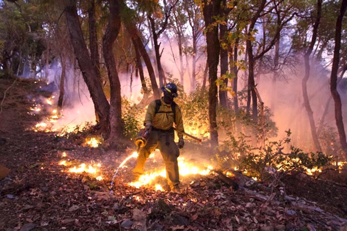 California: Crews use drip torches to ignite prescribed burns during the 2020 Klamath Prescribe Fire Training and Exchange Program