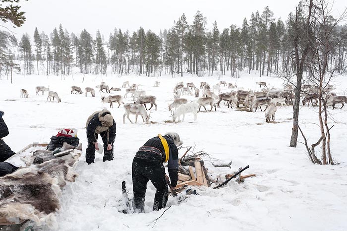 Sami Reindeer herders, Inari, Finland