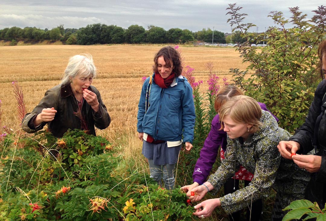Fi Martynoga and fellow foragers gathering rosehips 