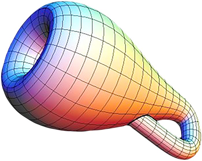 Klein Bottle