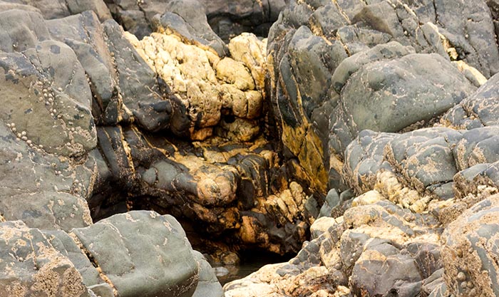 Seams of naturally-occuring gold in rock