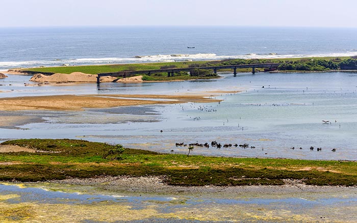 Polluted estuary and islands of the Adyar River and seashore