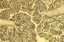 Jethro Buck: Painting the Beyond