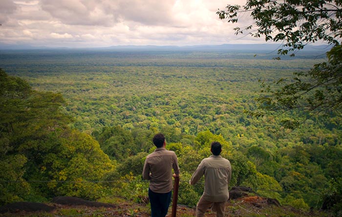Researchers from the King’s Foundation overlooking the largest and most biodiverse rainforest in the world in Guyana