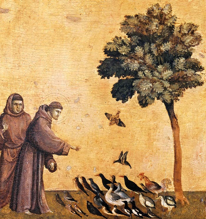 St Francis Preaching to the Birds by Giotto di Bondone